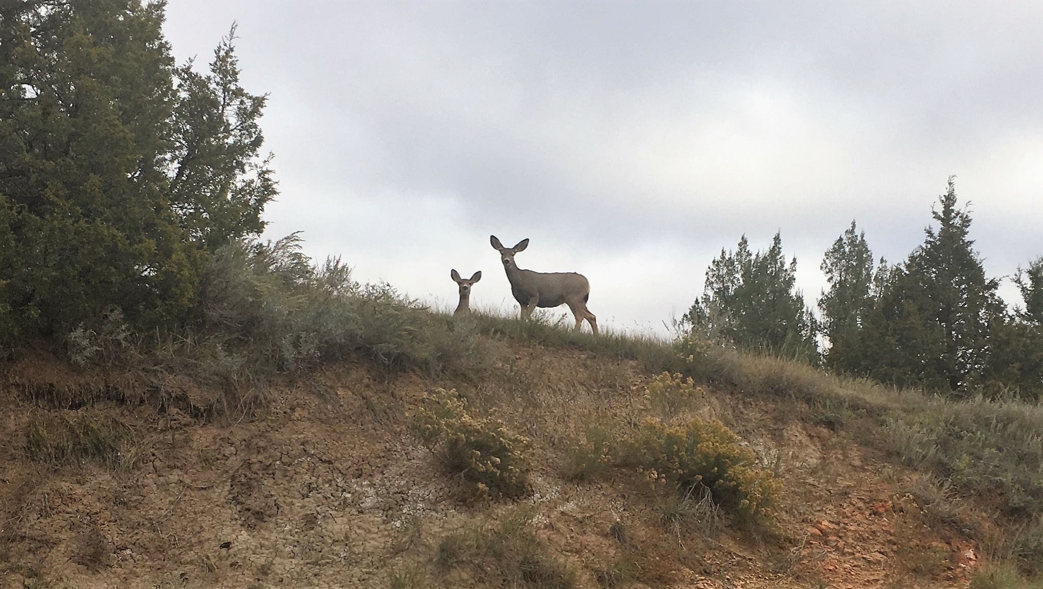 North Dakota